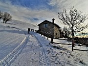 Sulle nevi dei Piani d’Artavaggio (1650 m) da Avolasio (1050 m) il 29 novembre 2021  - FOTOGALLERY